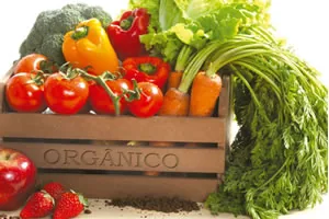 Benefícios dos Alimentos Orgânicos