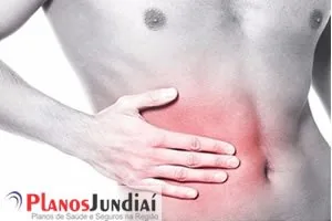 Cálculo renal: causas, sintomas e tratamentos para esta doença