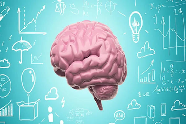 Neuroeducação, veja aqui se realmente vale a pena!